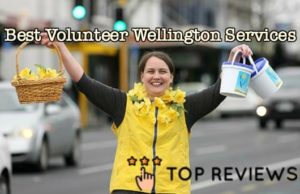 Best Volunteer Wellington Services