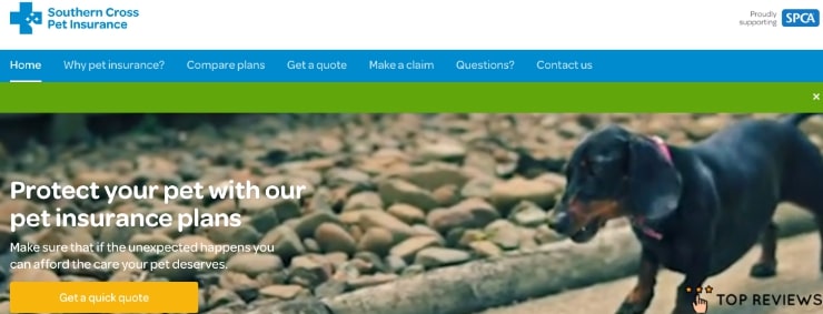 Southern Cross Pet Insurance's Homepage