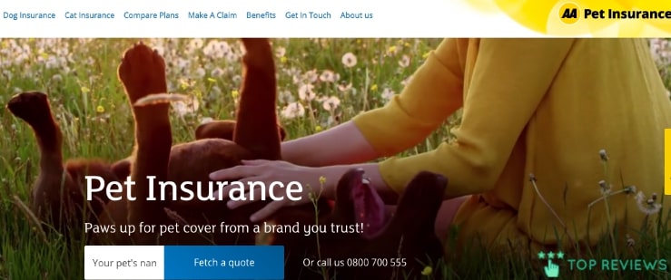 AA Pet Insurance's Homepage