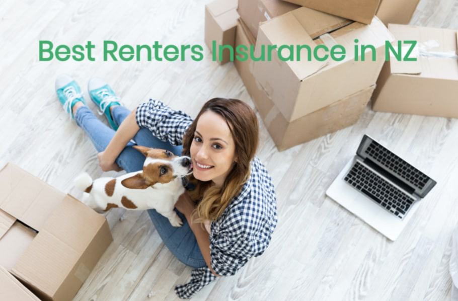 Best Renter's Insurance in New Zealand