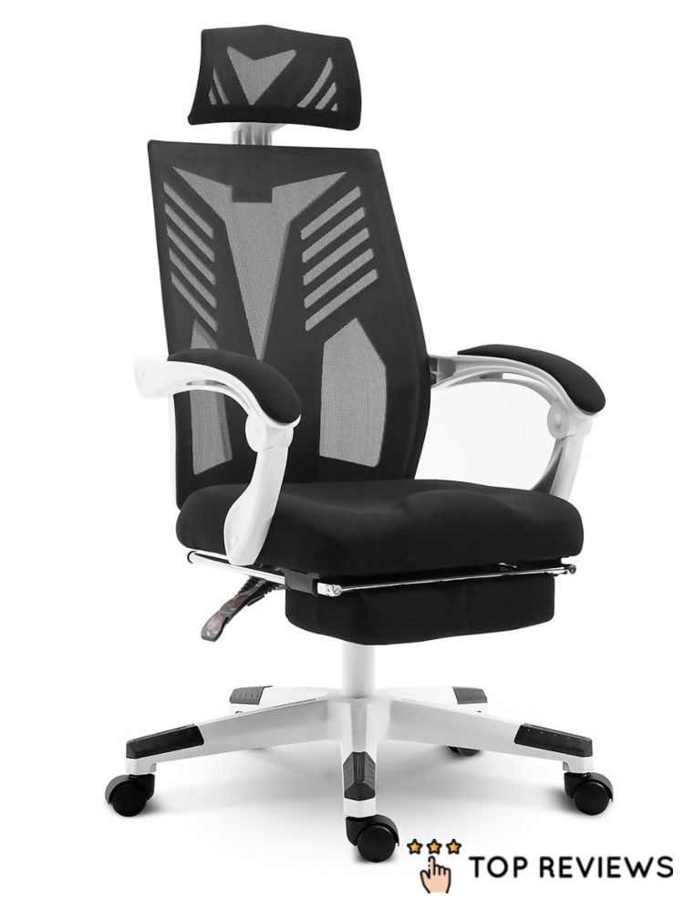 Zeaway Executive Office Chair