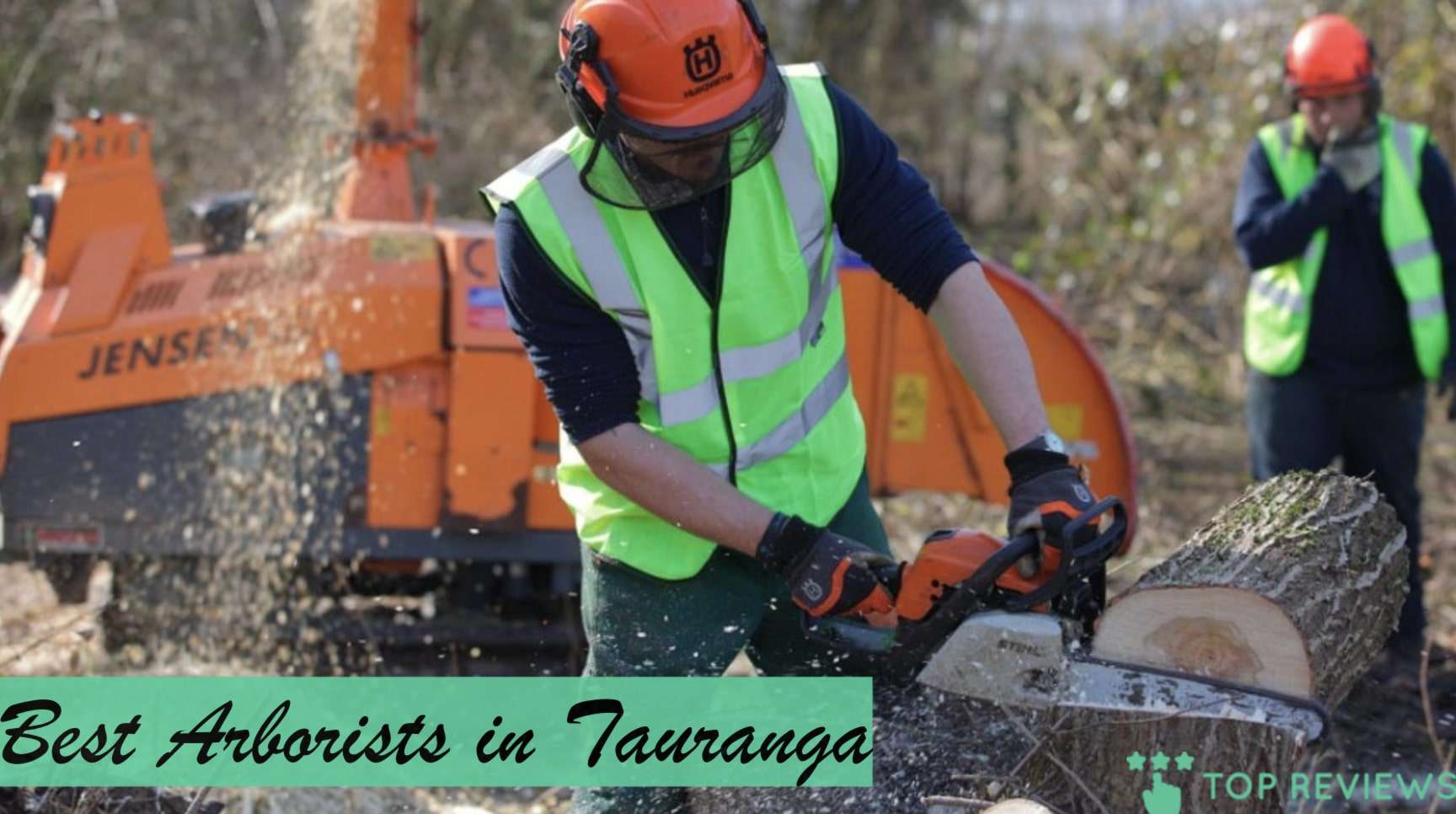 Best Arborists in Tauranga