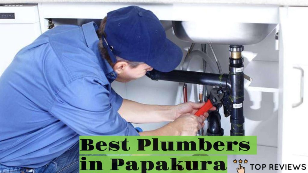 Best Plumbers in Papakura