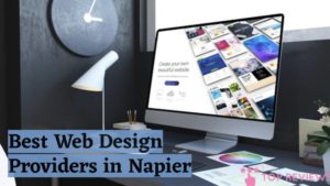 Best Web Design Providers in Napier
