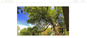 Kowhai Treecare's homepage