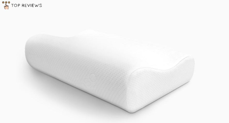 Ecosa Pillow