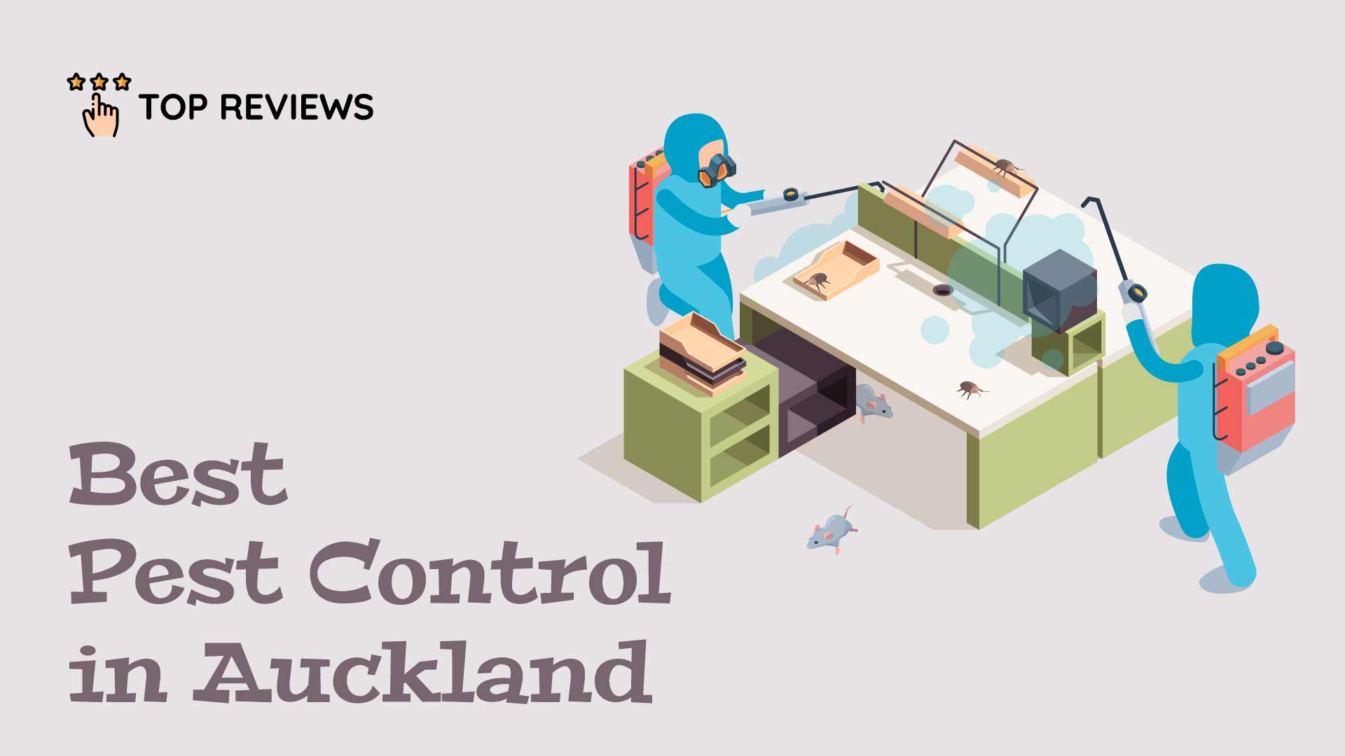 Best Pest Control in Auckland