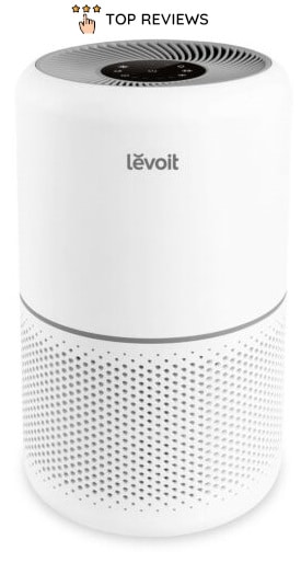 Levoit Core 300
