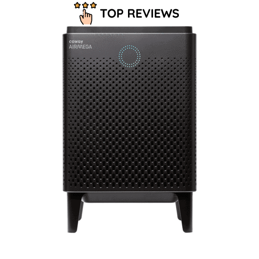 Coway Airmega 400