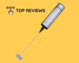 LifeSpring Stainless Steel Milk Frother