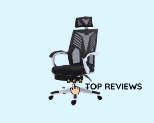 Zeaway Executive Office Chair