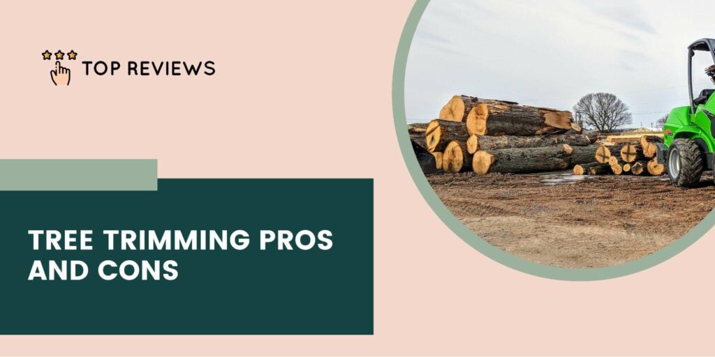 The Pros and Cons of Tree Trimming Services