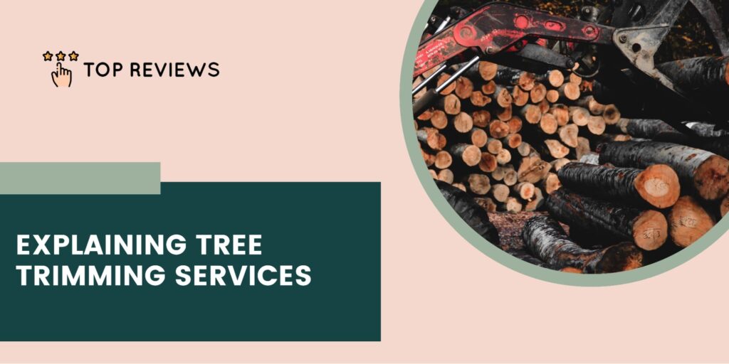 Breaking Down Common Tree Trimming Services