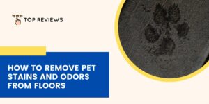 How to remove pet stains and odors from floors