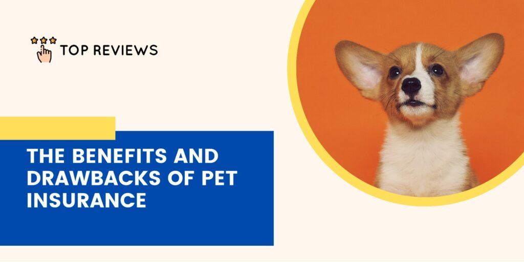 The Pros & Cons of Pet Insurance