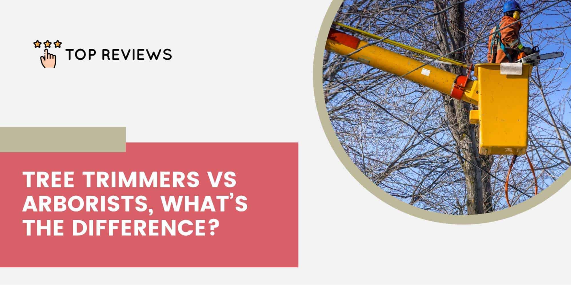 Tree trimmers vs arborists, what’s the difference