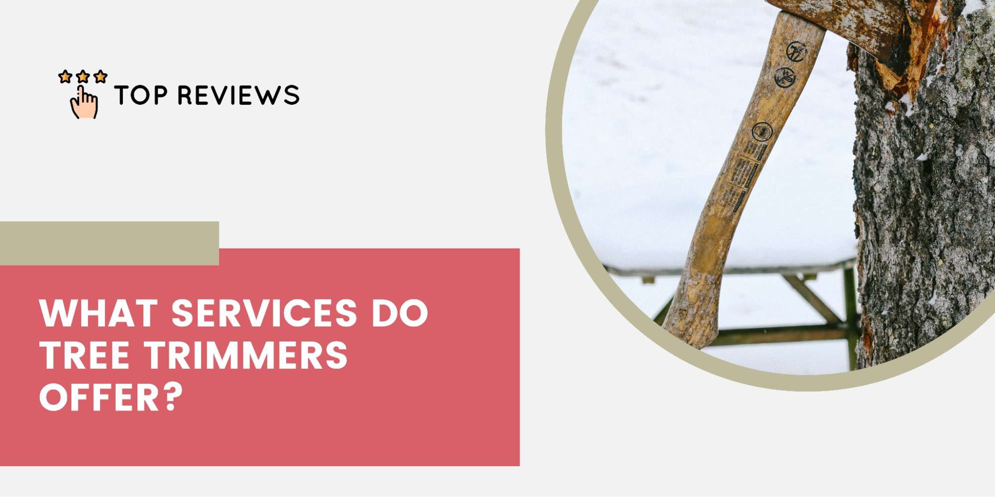 What services do tree trimmers offer