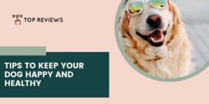 Top Reviews Tips to Keep Your Dog Happy and Healthy