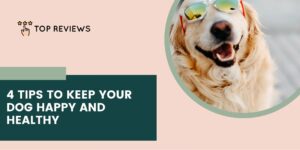 4 Tips to Keep Your Dog Happy and Healthy