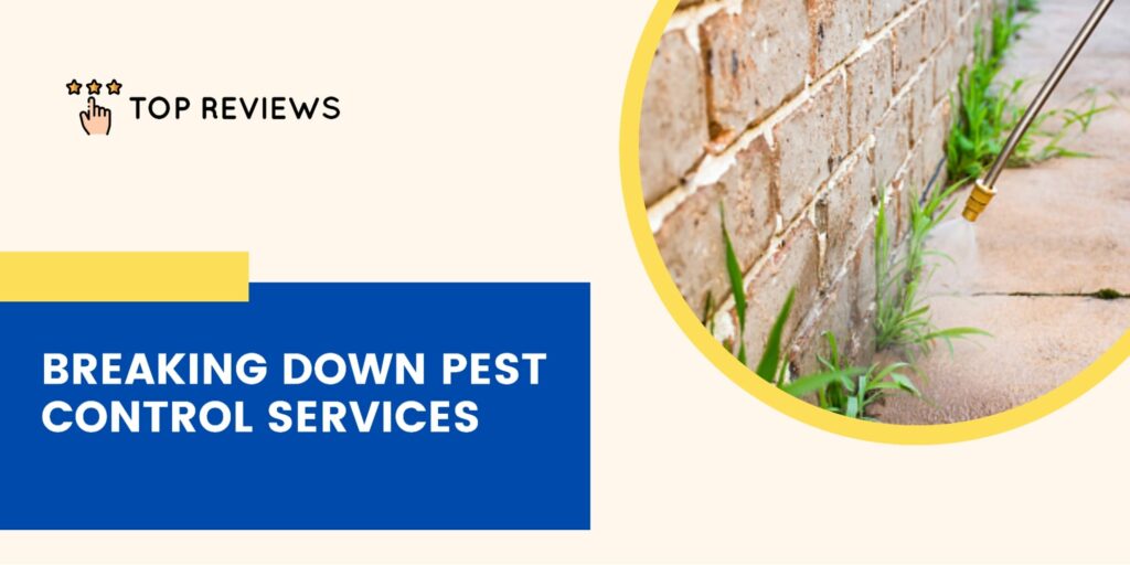 Explaining Pest Control Services