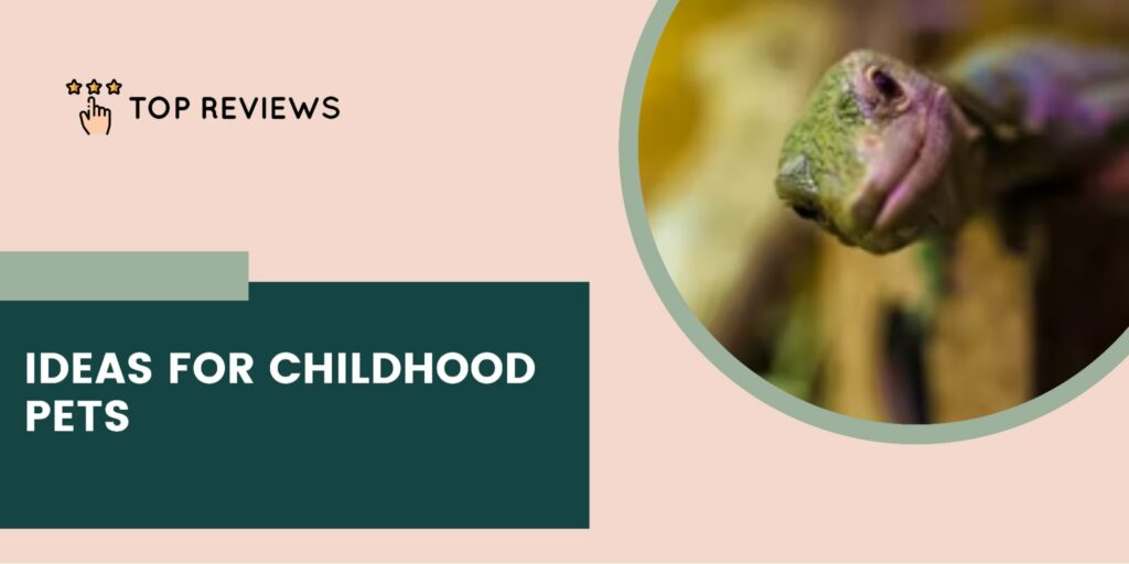 Pet Ideas for Children