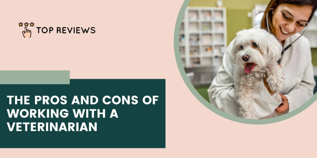 The Benefits and Drawbacks of Working with Veterinarians