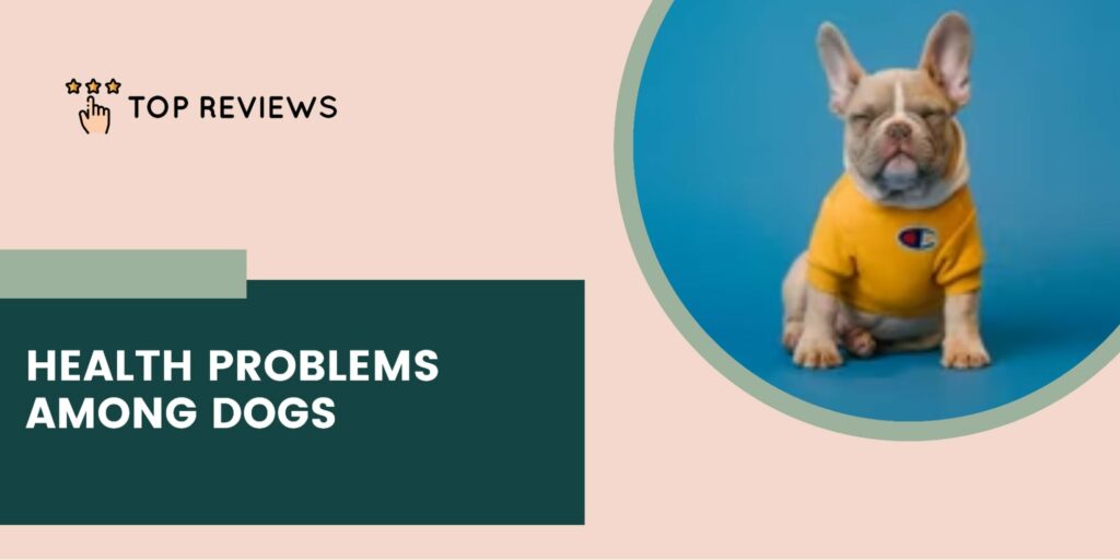 The Most Common Health Problems Among Dogs