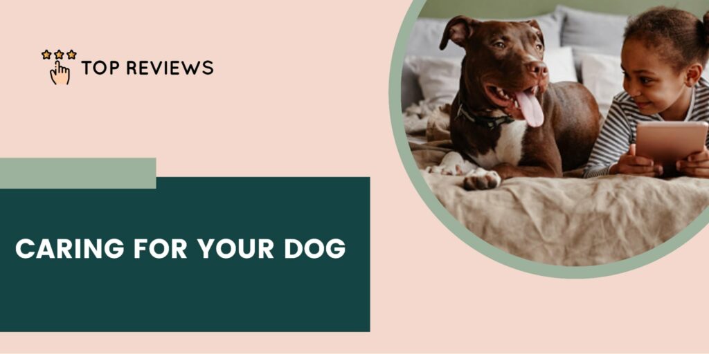 Tips For Caring For Your Dog