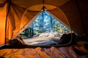 Go camping at Ambury Park campground