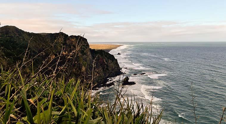 Go hiking at the Mercer Bay Loop Track