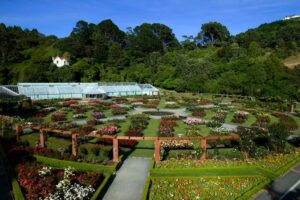 Take a walk at the Wellington Botanic Garden