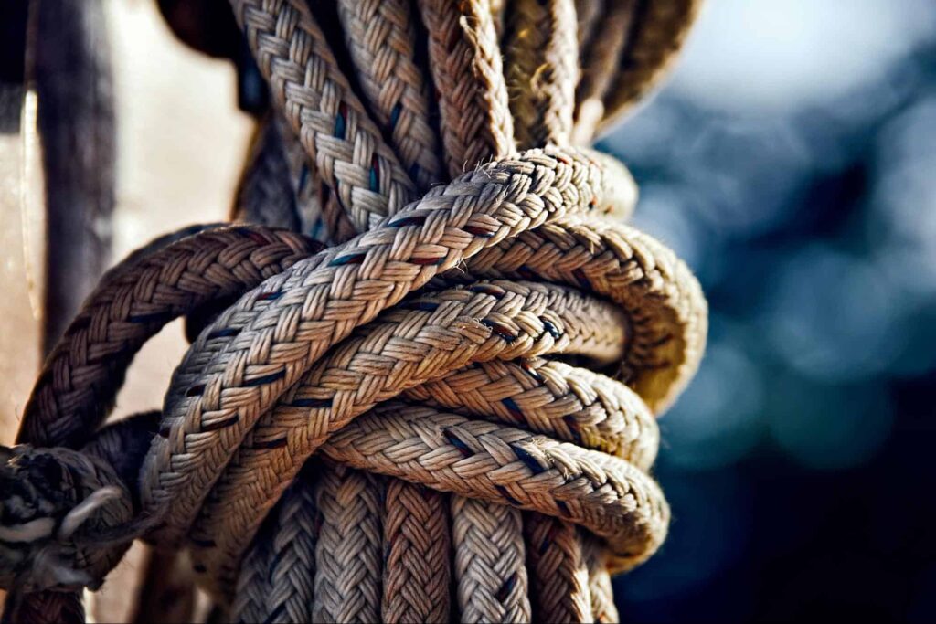 Be Tarzan in Adrenalin Forest