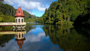 Check out Zealandia