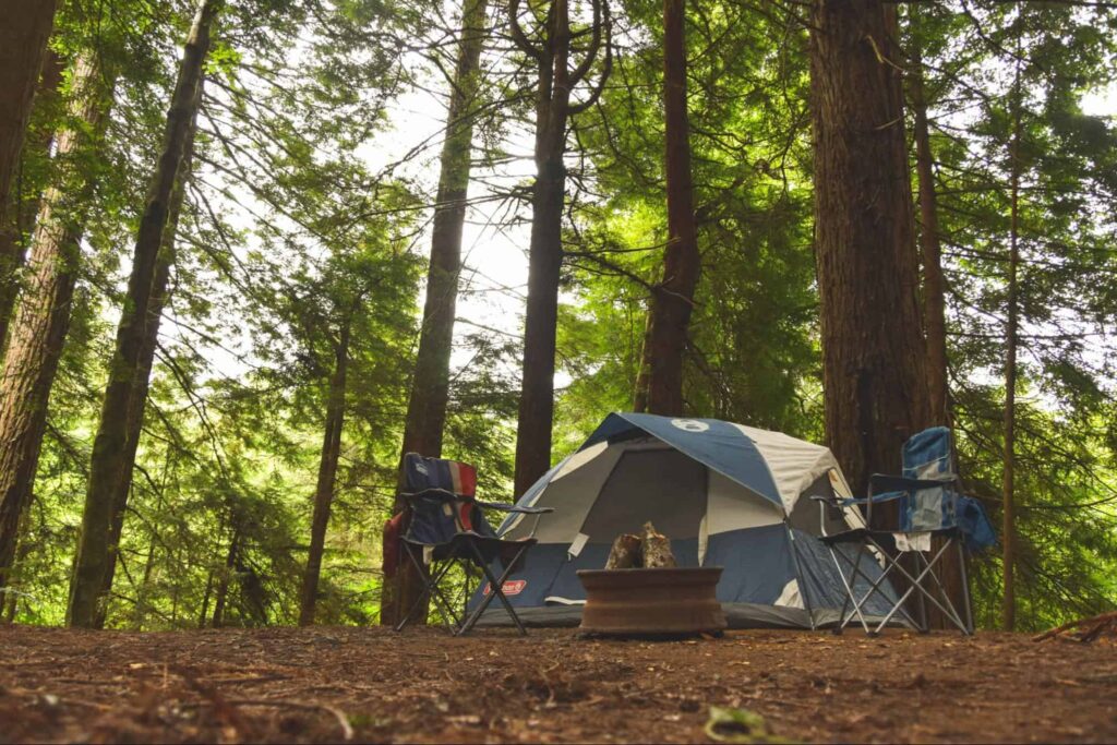 Go camping in Ambury Park