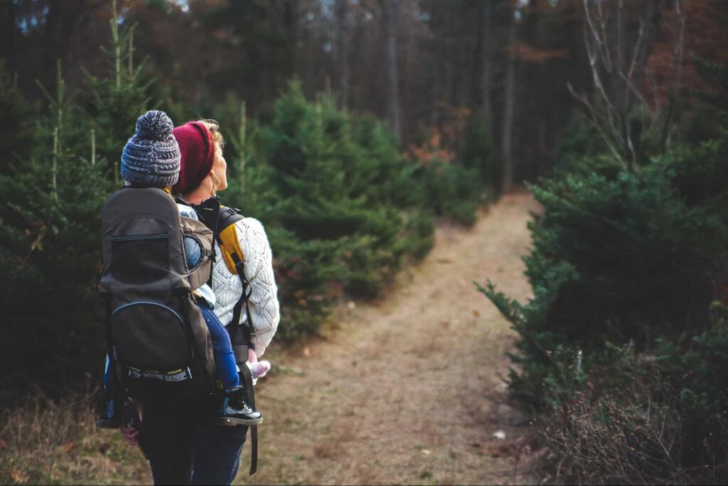 Go hiking at Mercer Bay Loop Track