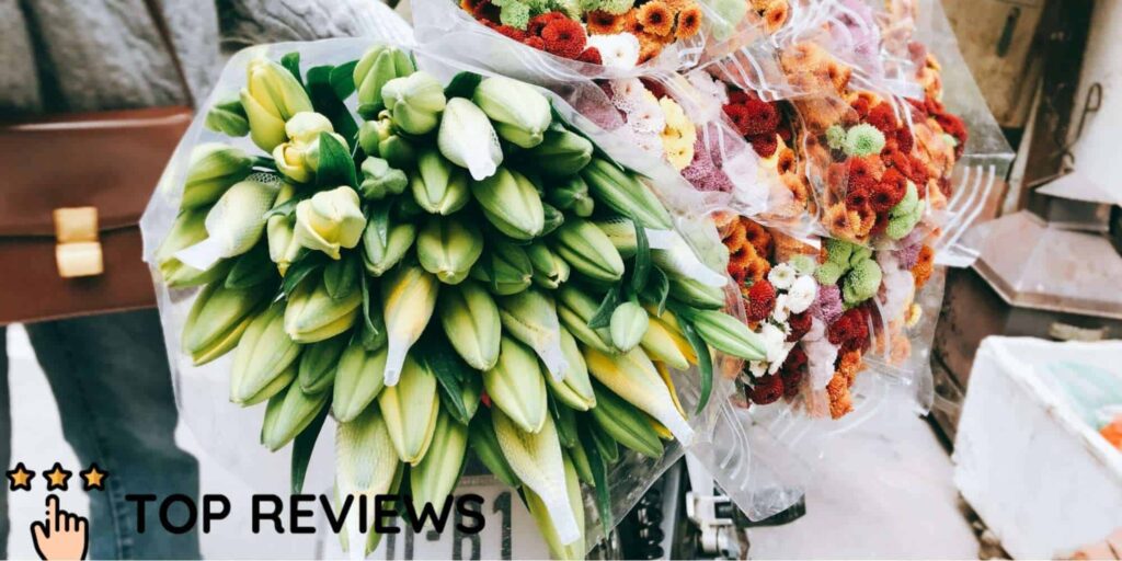 Our Picks The 9 Top Flower Delivery Boutiques in New Zealand