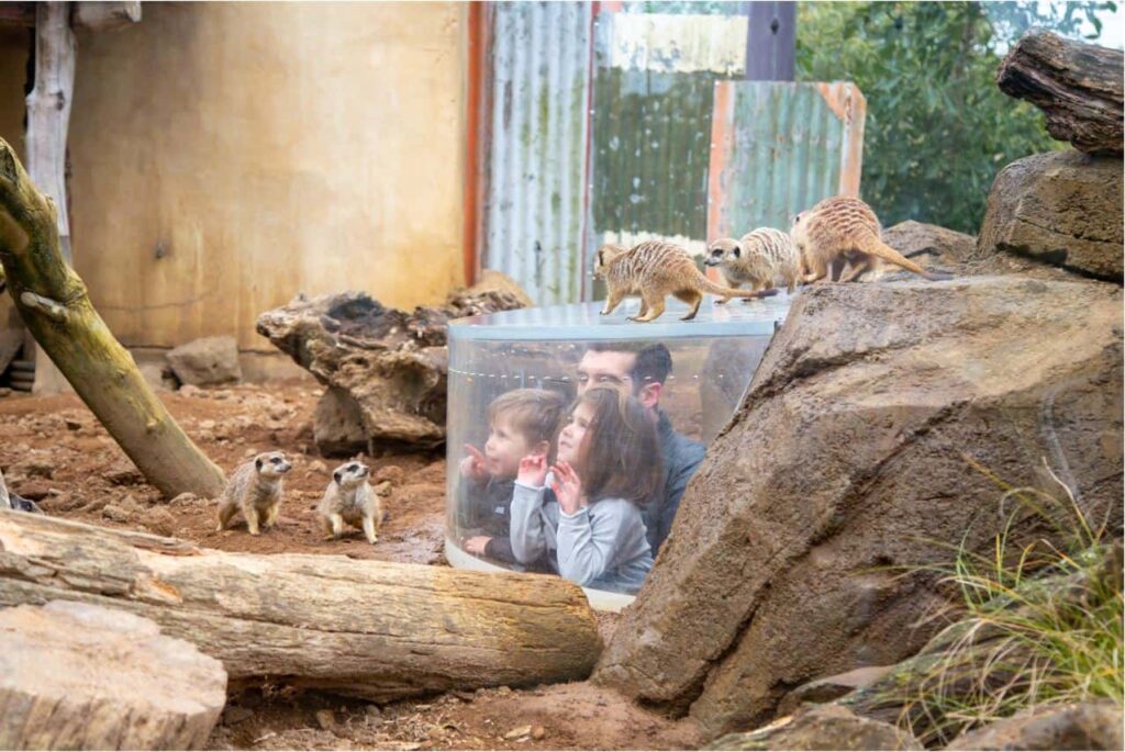 Visit Auckland Zoo