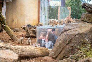 Visit Auckland Zoo