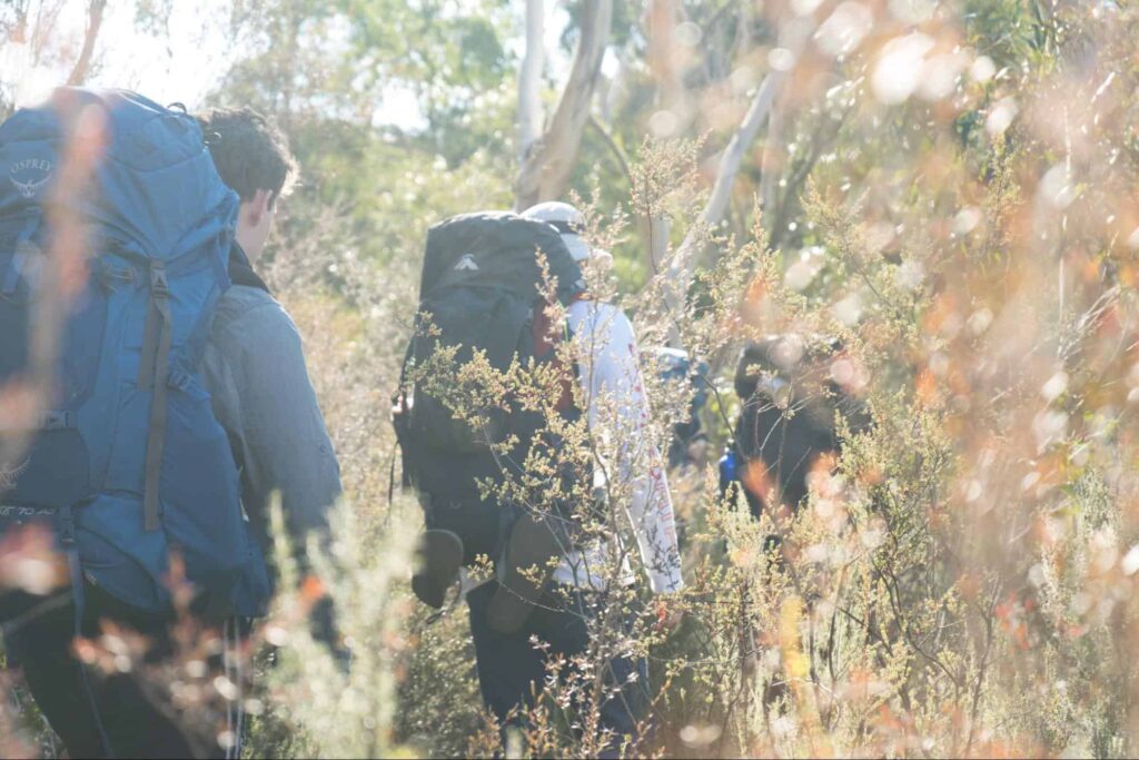 Enjoy a trip to Hollyford Track