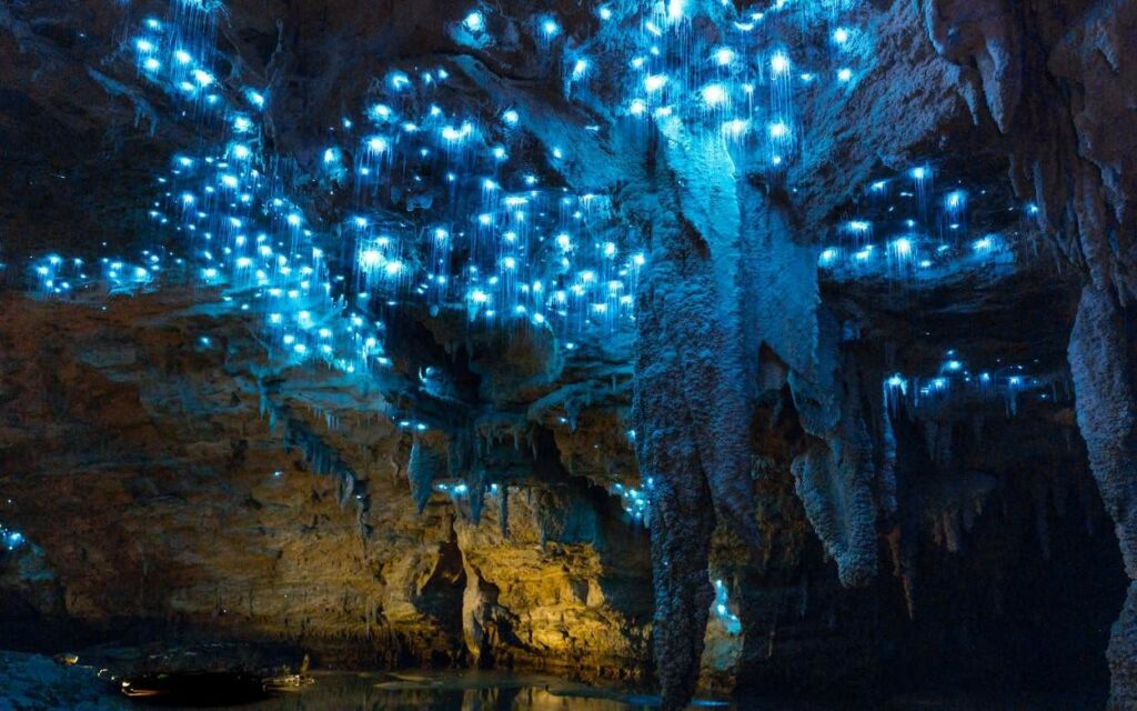 Enjoy the Foot Whistle Glow Worm Tour