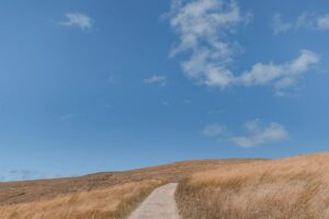 Godley Head Track