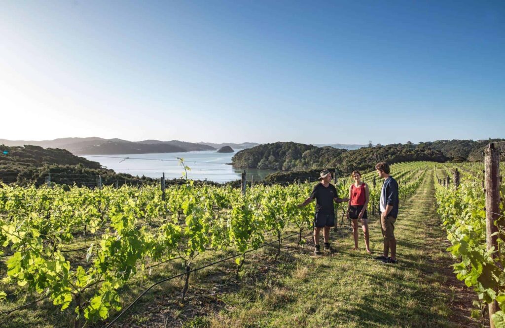 Heat yourself up with some great wine