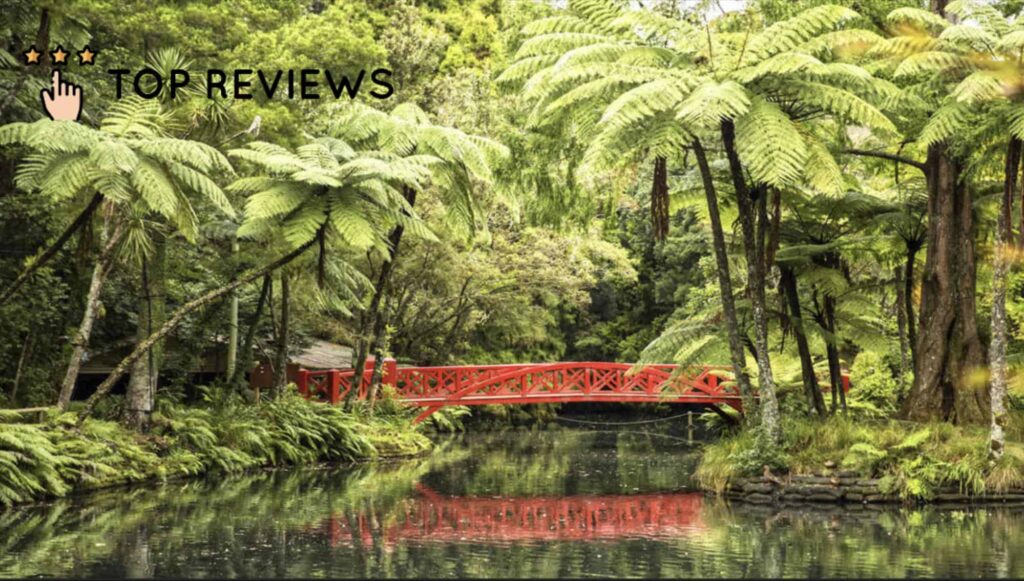Notable Attractions in New Plymouth