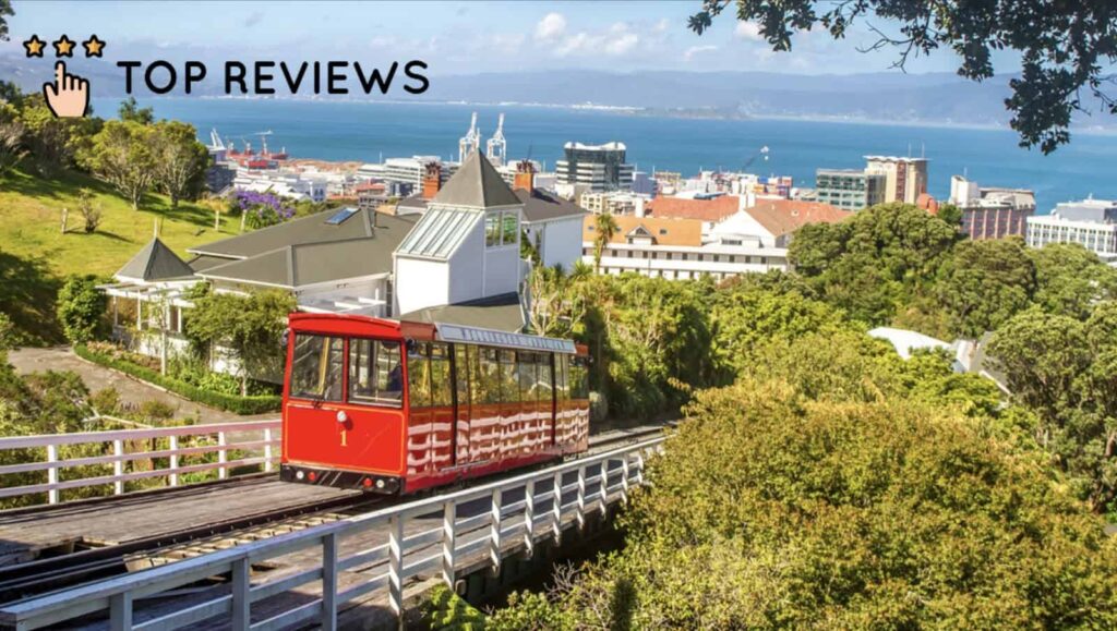 Notable Attractions in Wellington
