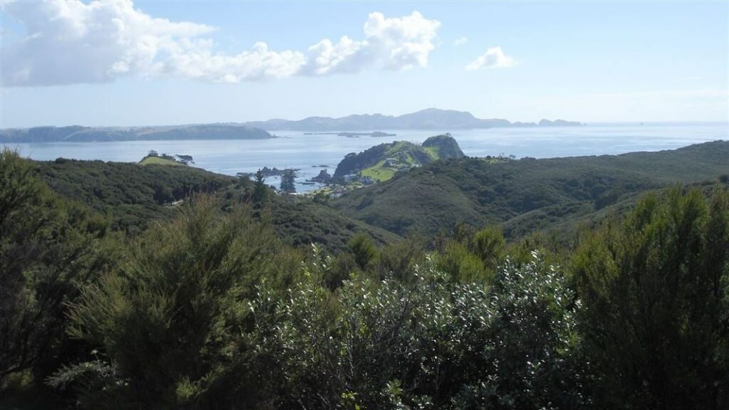 Take a walk at the Historic Flagstaff Hill Track