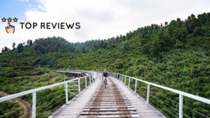 The Ohakune Old Coach Road