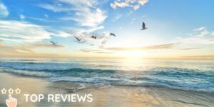 The Tourist’s Guide Are there sandy beaches in New Zealand