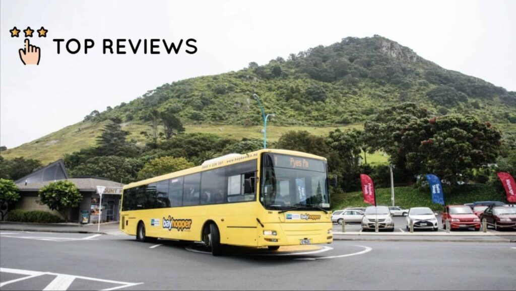Transportation in Tauranga