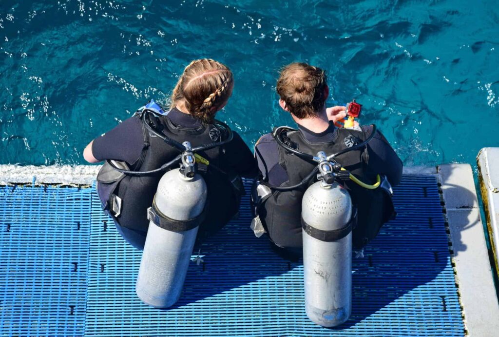 Try scuba diving at Milford Sound