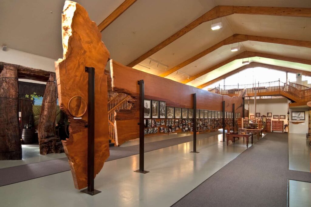 Visit The Kauri Museum